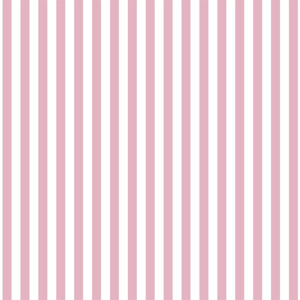 Dress Stripe in Carnation