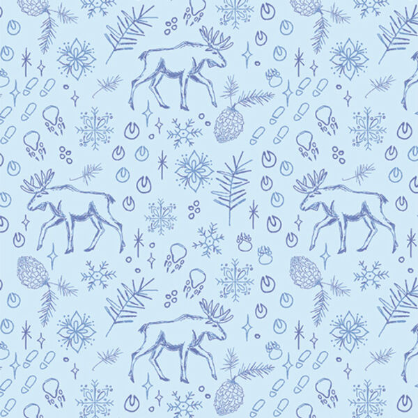 Tundra Trails in Snow