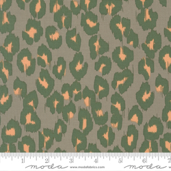 Ikat in Silver