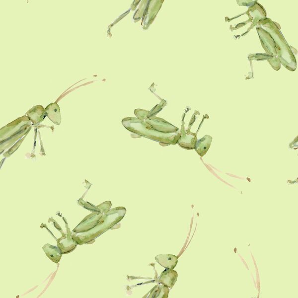 Large Grasshopper in Leafy