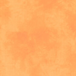 Palette in Orange Cream