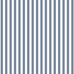 Dress Stripe in Dove