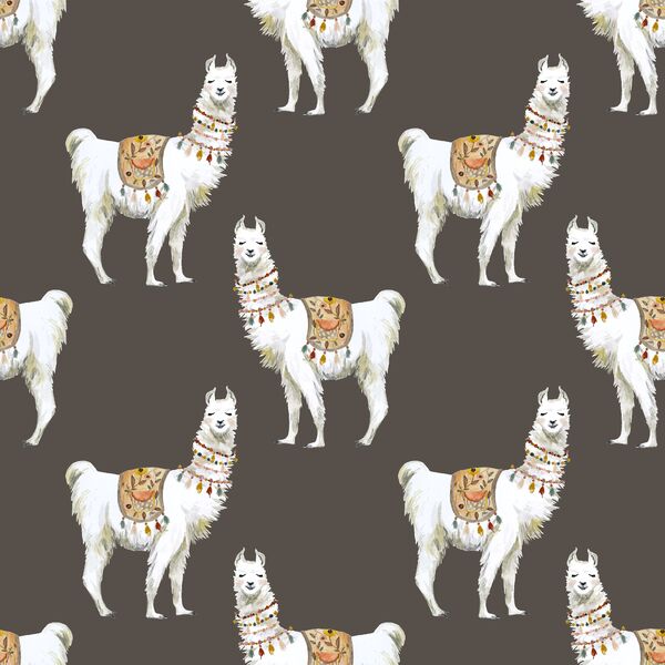 Llamas in Brown
