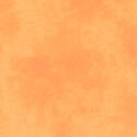 Palette in Orange Cream