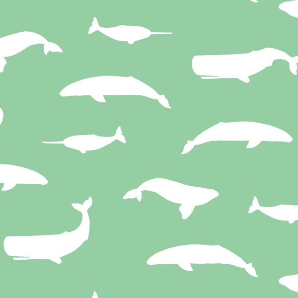 Whale Silhouette in Sprout
