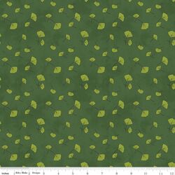 Ginkgo in Ivy
