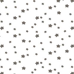 Star Light in Stone on White