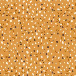 Seeds in Kumquat