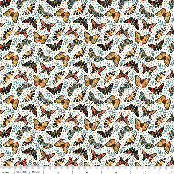 Moths in Cloud