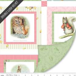 Peter Rabbit and Friends Double Lush Velvet