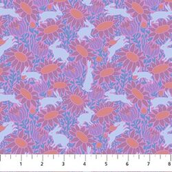 Chase in Lavender