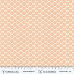 Shell in Coral