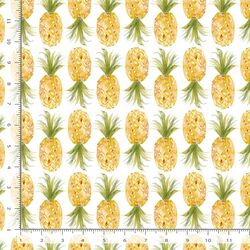 Pineapples in White
