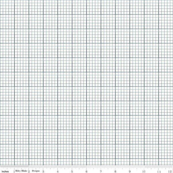 Graph Paper in Blue