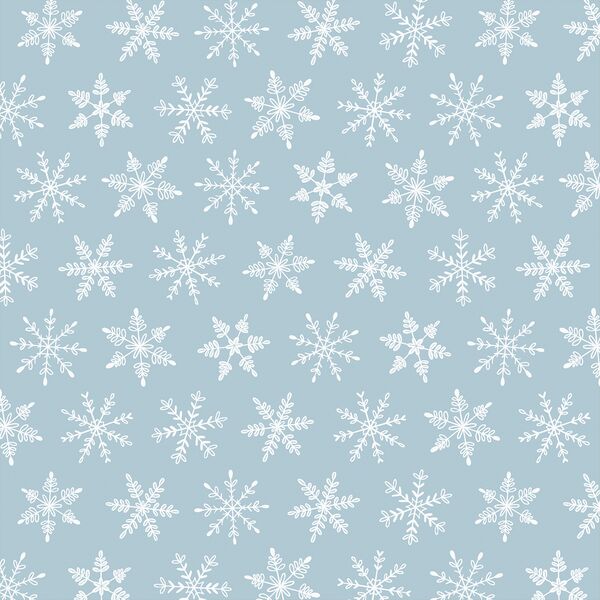 Snowfall in Snow on Frost