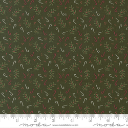 Holly Candy in Pine