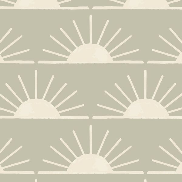 Large Horizon in Summer Sage