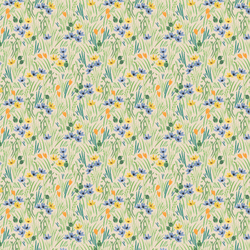 Iris in Cream