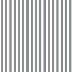 Dress Stripe in Smoke