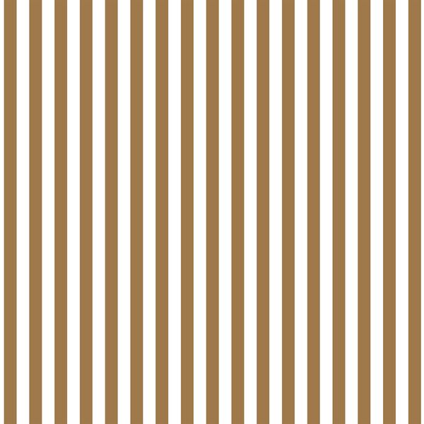 Dress Stripe in Ochre