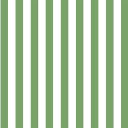 Candy Stripe in Pistachio