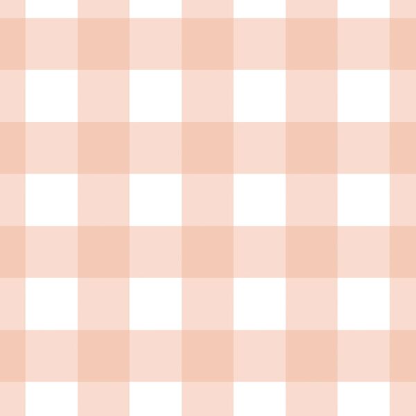 Large Gingham in Muted Peach