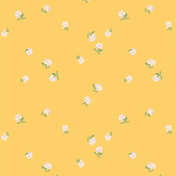 Blooming Rain in Sunlight