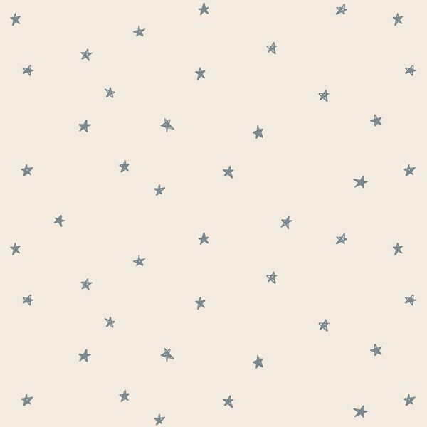 Celestial Stars in Lead Blue on Egret