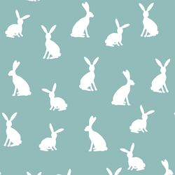 Cottontail Silhouette in Pool