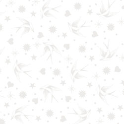Fairy Flakes in Paper