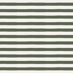Stripe in Terra