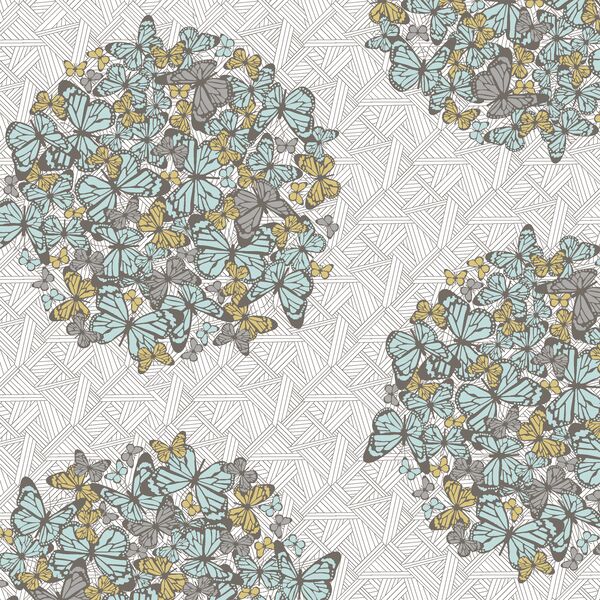 Social Butterfly in Thicket