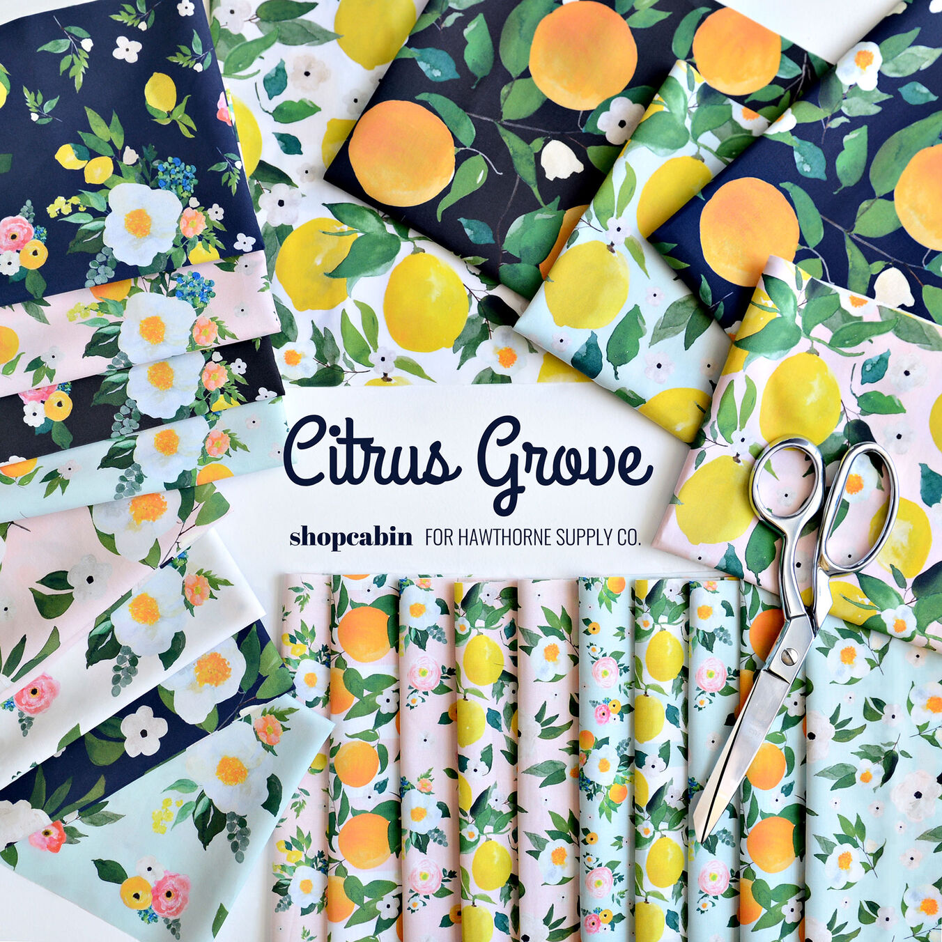 Citrus Grove Poster Image