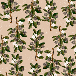 Large Blackberry Branches in Dusty Pink