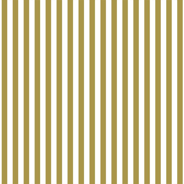 Dress Stripe in Gold