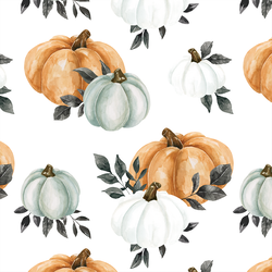 Pumpkins in Orange and White