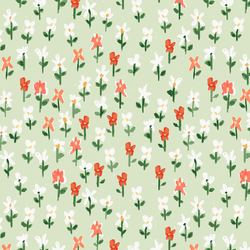 Poppy Meadow in Grassy
