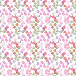 Large Scales in Wild Rose