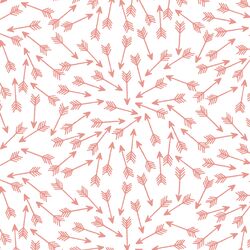 Arrows in Tulip on White