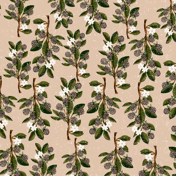 Small Blackberry Branches in Dusty Pink