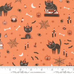 Cats in Pumpkin