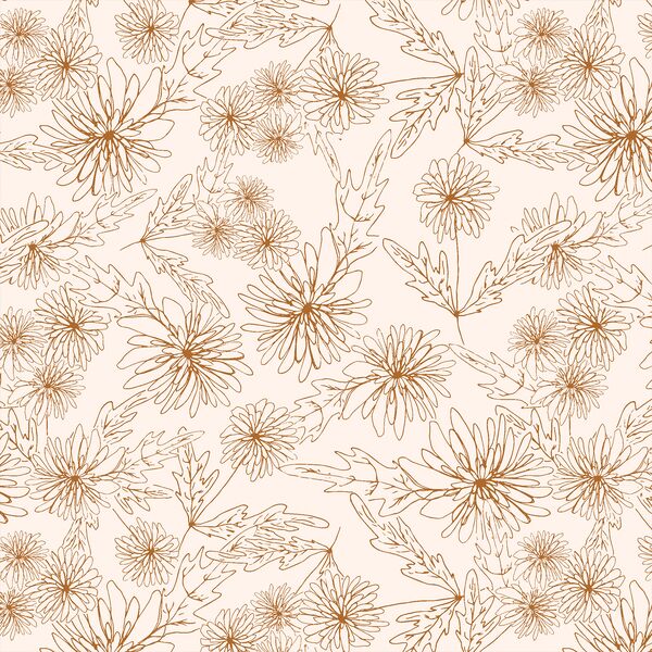 Chrysanthemum Sketch in Autumn