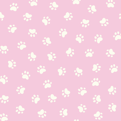 Concrete Was Not Dry in Pink