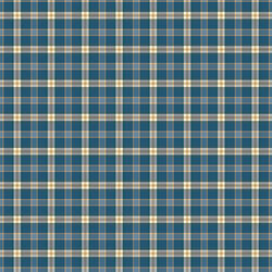 Plaid Poppins in Evening