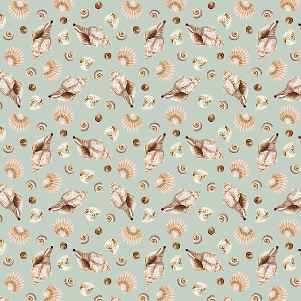 Scattered Shells in Sea Foam