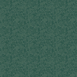 Tonal in Forest