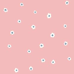 Meadow Daisy in Rose
