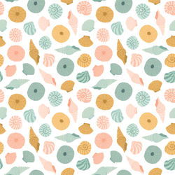 Shells in Reef