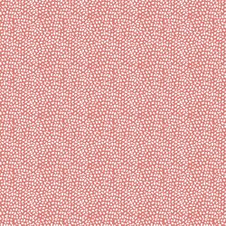Texture in Coral