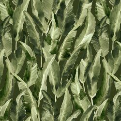 Wild Banana Leaf in Deep Jungle